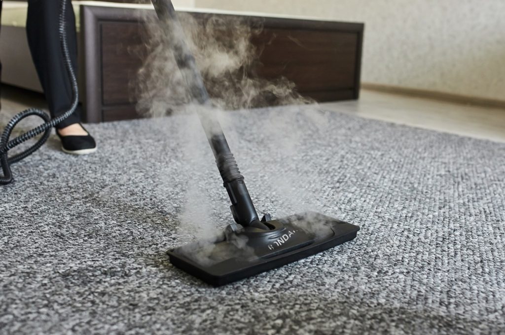 Types of Professional Carpet Cleaning Services - Trusted Home Improvement Experts