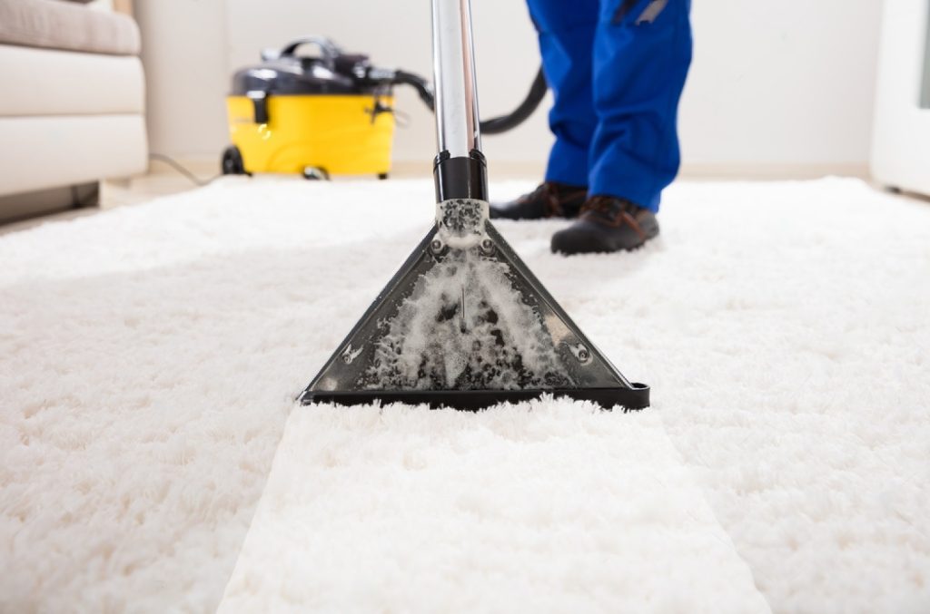 Understanding the Role of Professional Carpet Cleaners - Trusted Home Improvement Experts