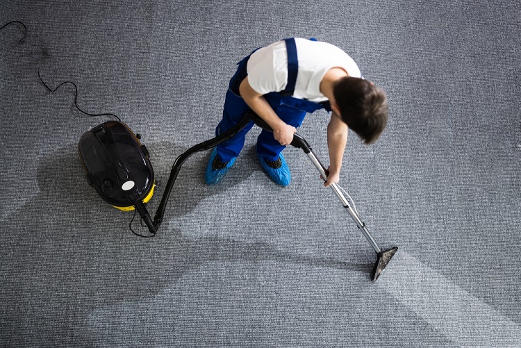 Carpet Stain and Odor Removal