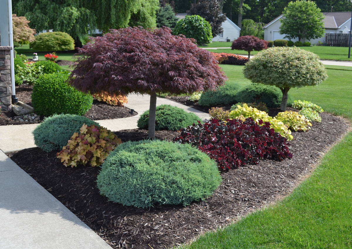 How Proper Tree Care Enhances Your Landscape and Property Value