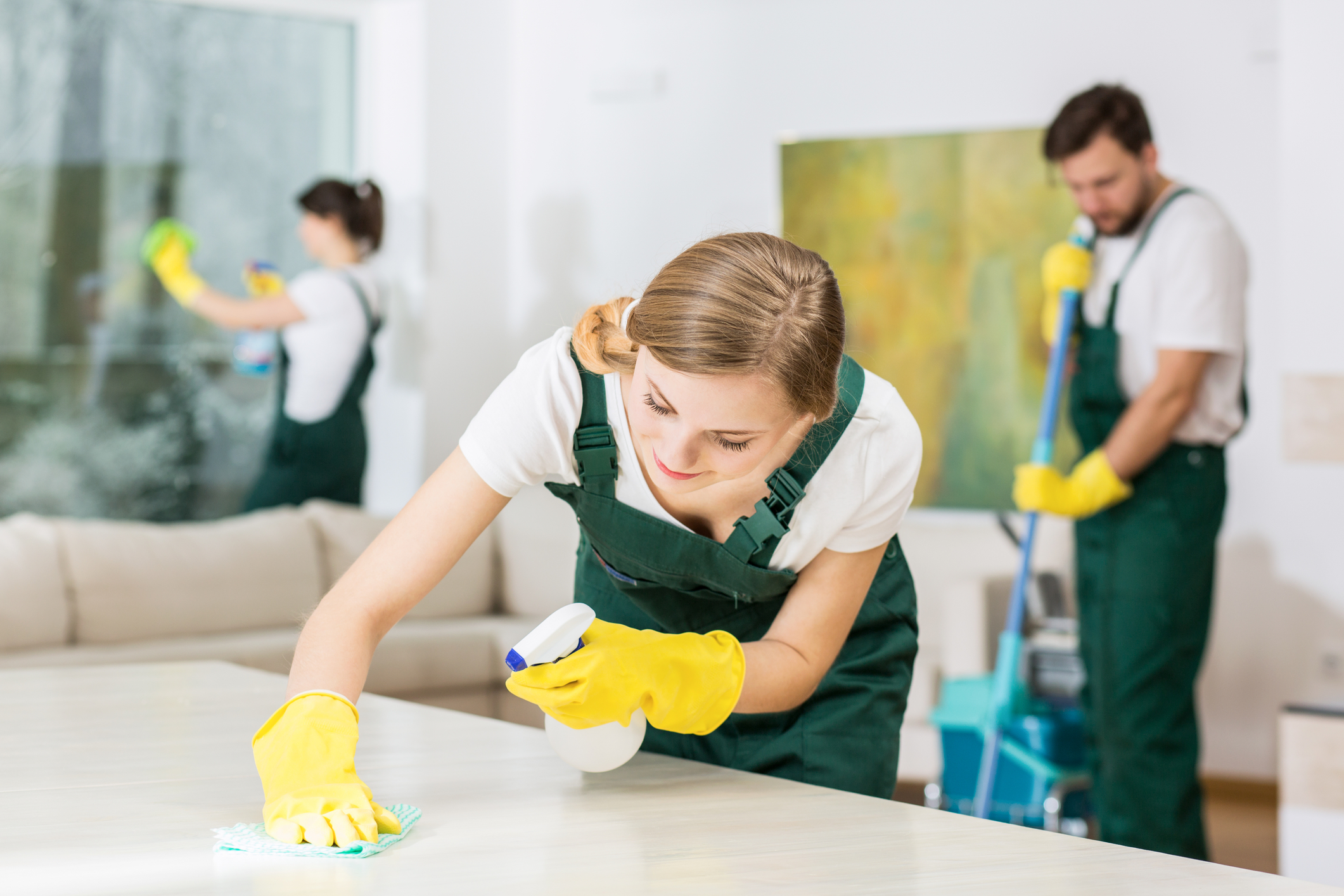 Pristine Perspectives Unveiling the Art of Professional Cleaning