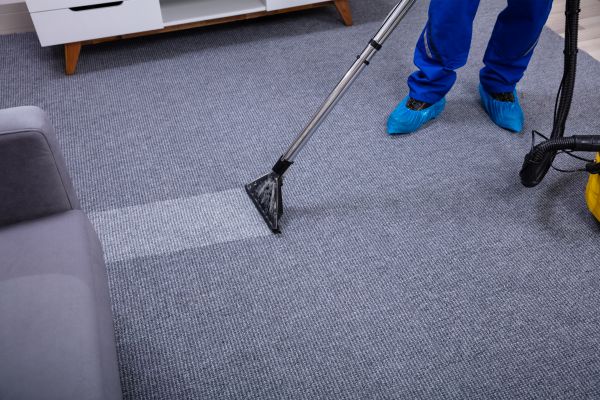 Right Carpet Cleaner for Your Home