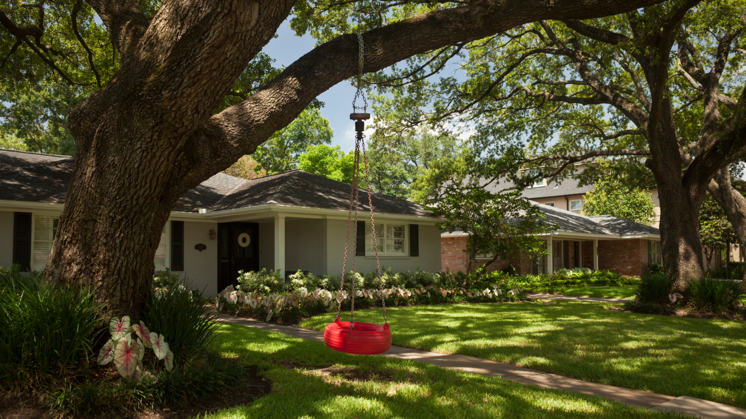 Shade and Serenity Maximizing the Benefits of Mature Trees in Your Yard